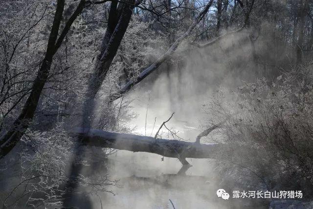 万词王