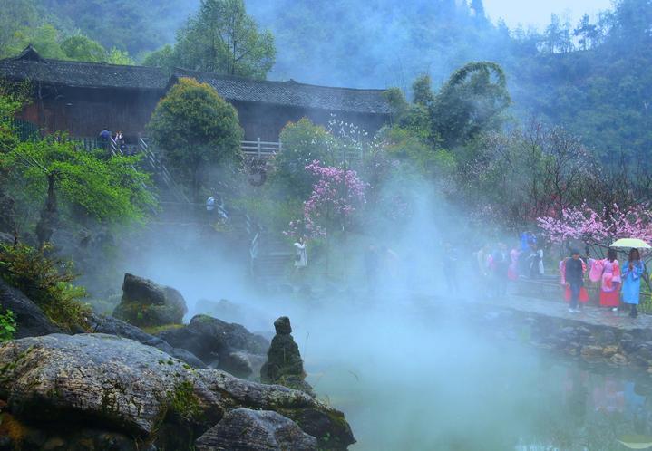 梦想的后院