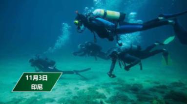 恋上餐厅盘中异动 下午盘股价大涨6.20%
