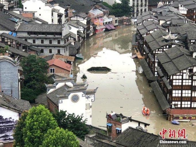 小猫钓鱼正版下载中文版